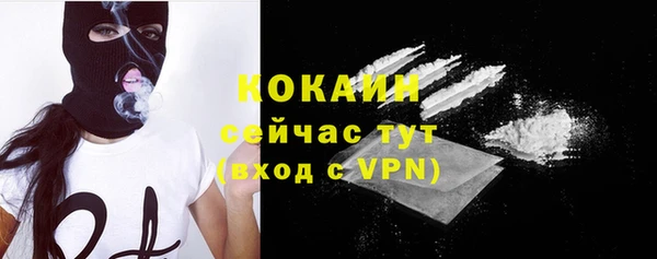 прущий лед Богданович
