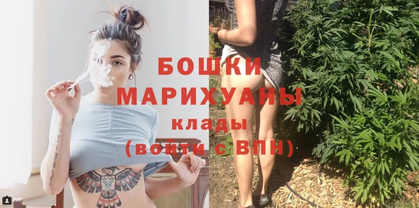 гашик Белокуриха