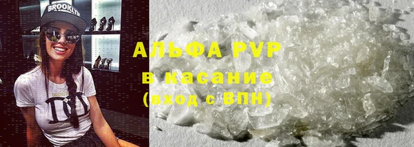 гашик Белокуриха