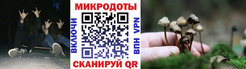 площадка как зайти  Острогожск  Псилоцибиновые грибы Psilocybine cubensis  что такое  